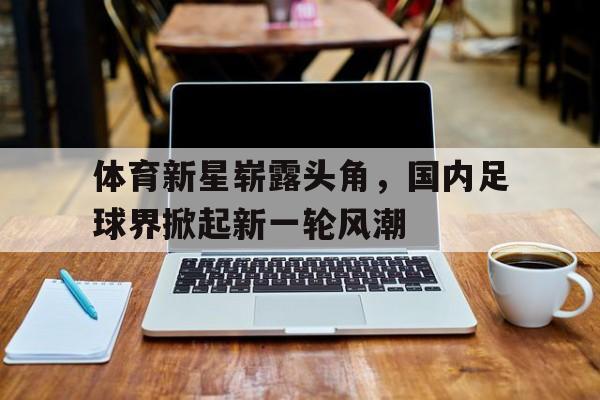 体育新星崭露头角，国内足球界掀起新一轮风潮